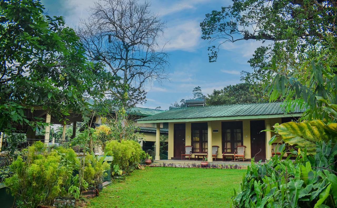 Blue Magpie Lodge Sinharaja Kudawe Exterior foto